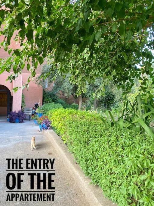 Cosy Next To Majorelle Garden Appartement *
